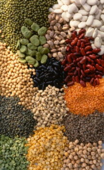 Posalı Gıdalar ve Proteinler Sizi Daha Uzun Süre Tok Tutarlar