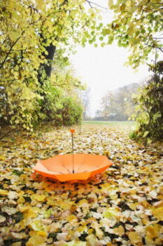 Mevsim Geçişlerinde Diyet ve Sağlıklı Beslenme