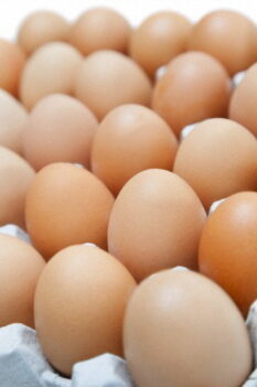 Yumurta Et Grubu Besinler İçerisinde Yer Alır