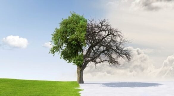 Havalar Bir Sıcak Bir Soğuk Ne yememiz Gerek Ne Yapalım