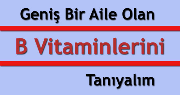 B Vitaminleri