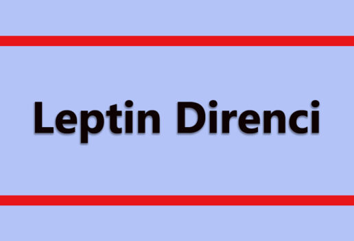 Leptin Direnci
