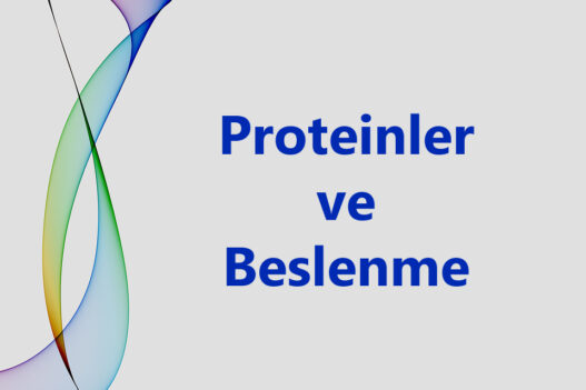 Yanınızda Hangi Proteinleri Taşıyabilirsiniz?