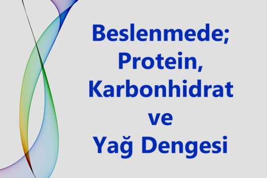 Yağlar Arasında Denge