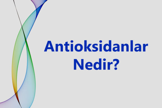 Antioksidanlar
